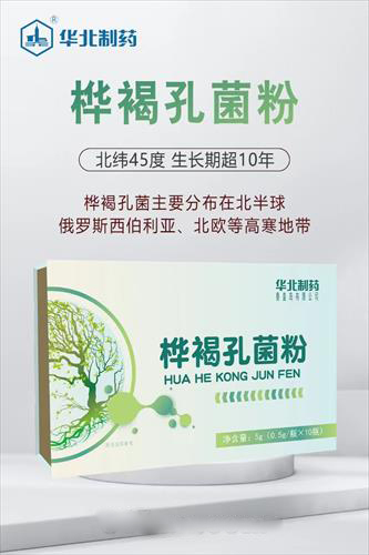 華北制藥樺褐孔菌粉